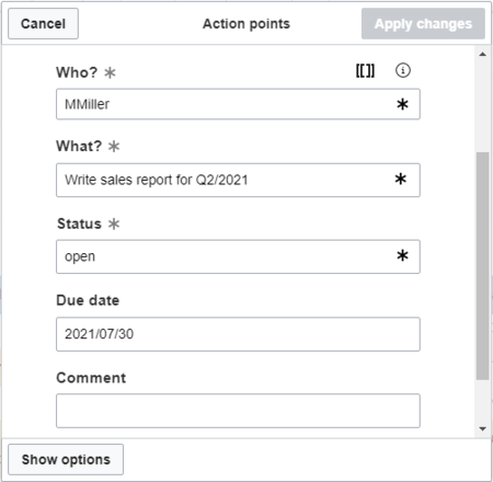 Input fields for action points