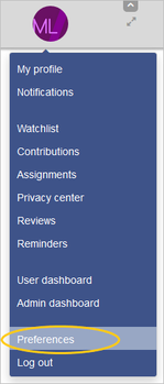 Screenshot: User menu